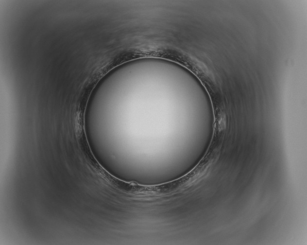 X0000112721156200908271401