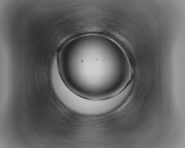 X0000112721161200908271401