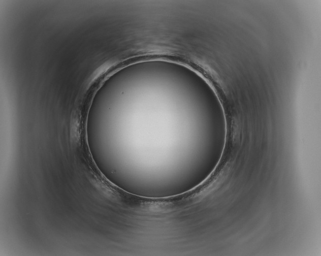 X0000112721163200908271401