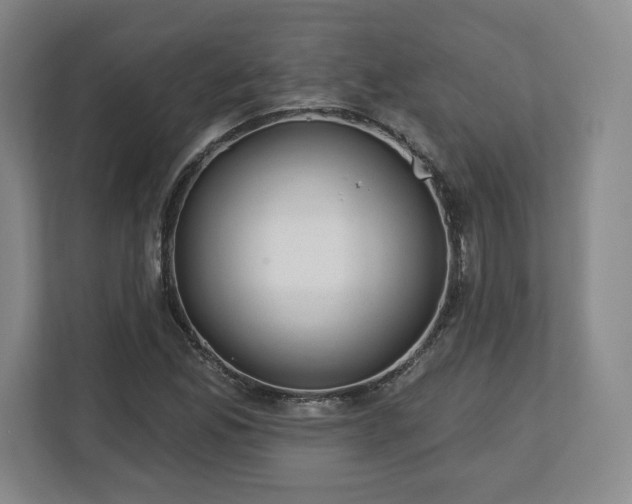 X0000112721165200908271401