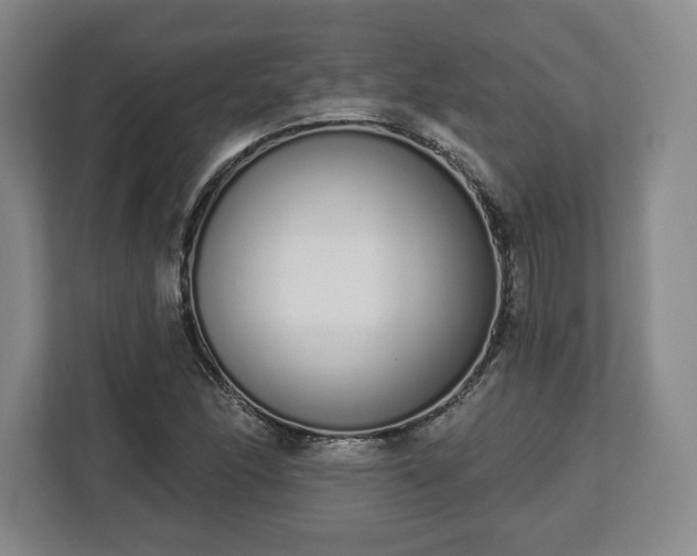 X0000112721166200908271401