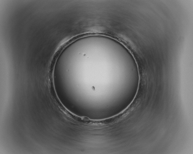 X0000112721168200908271401