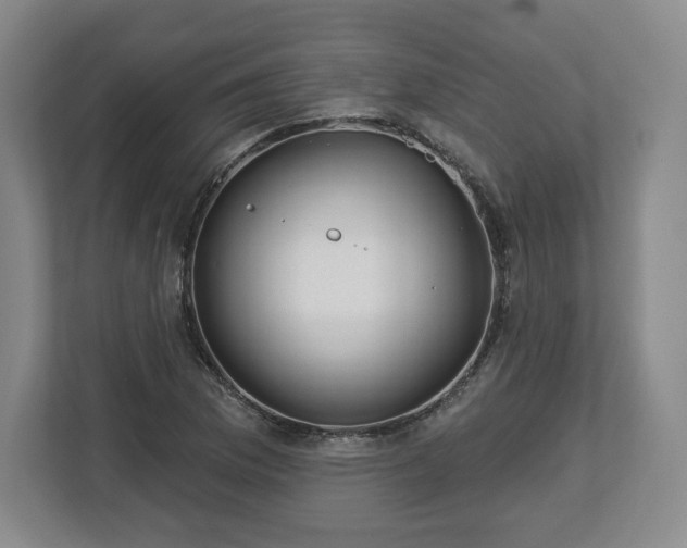 X0000112721169200908271401