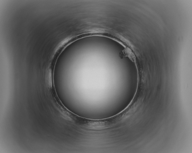 X0000112721171200908271401