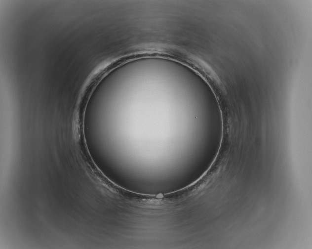 X0000112721172200908271401