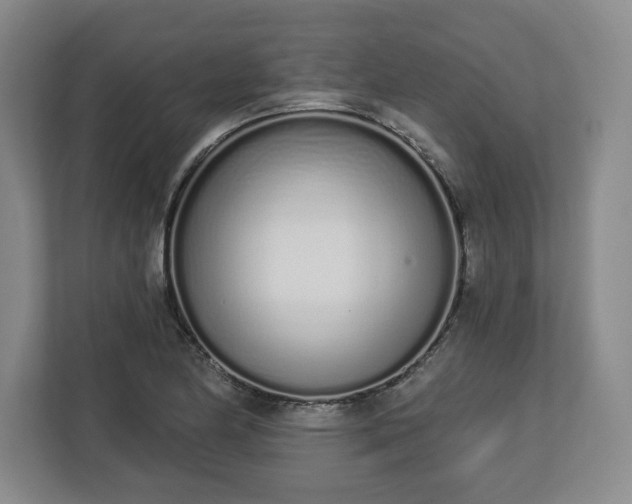 X0000112721174200908271400