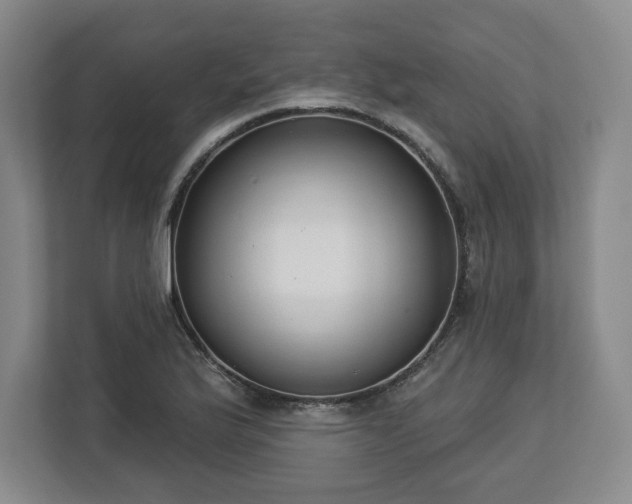 X0000112721175200908271400