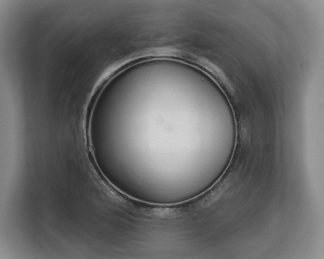 X0000112721176200908271400