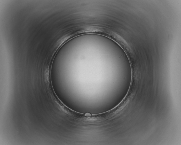 X0000112721177200908271400