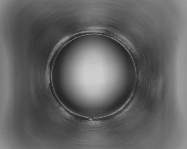 X0000112721180200908271400