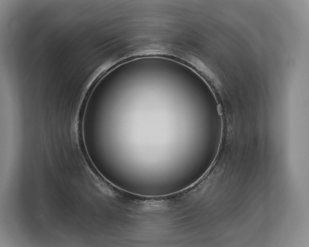 X0000112721181200908271400