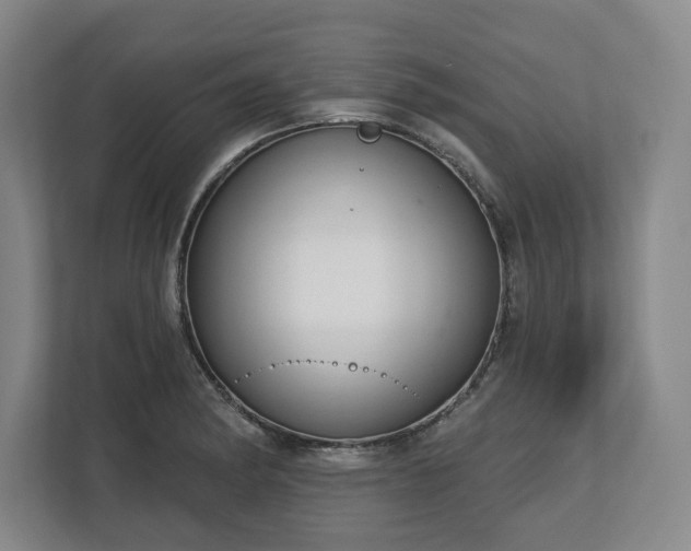 X0000112721182200908271400