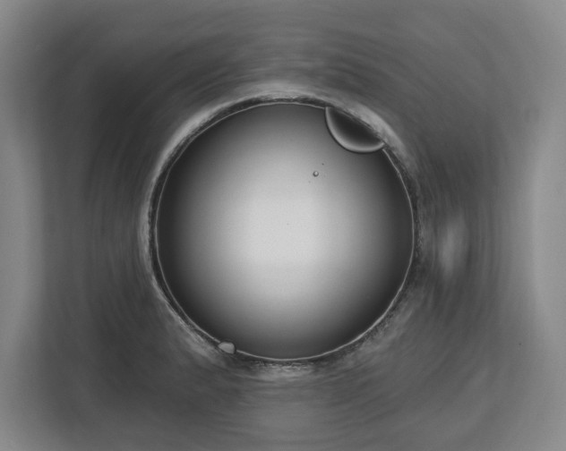 X0000112721183200908271400