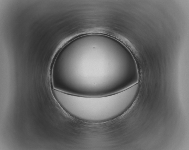 X0000112721184200908271400