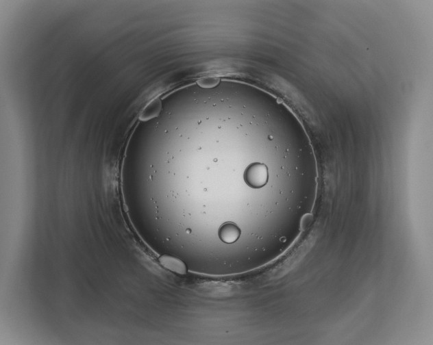 X0000112721185200908271400