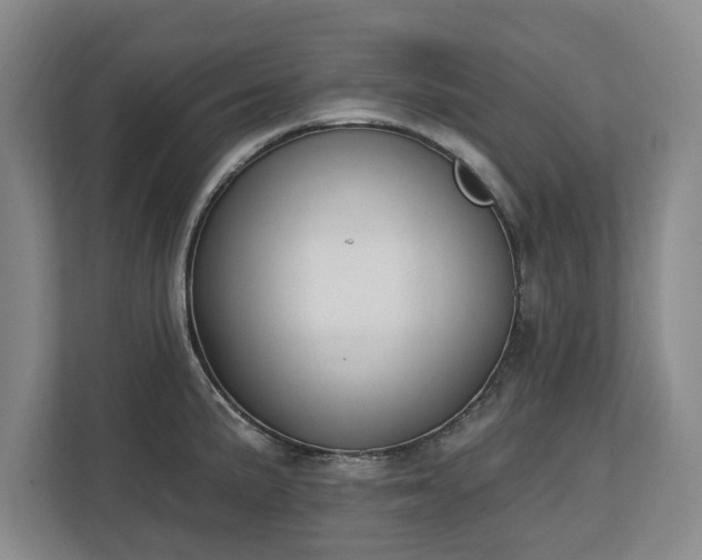 X0000112721191200908271400