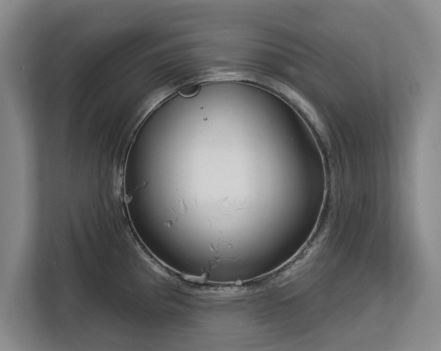 X0000112721193200908271400