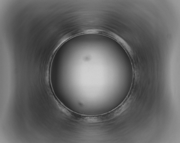 X0000112721194200908271400