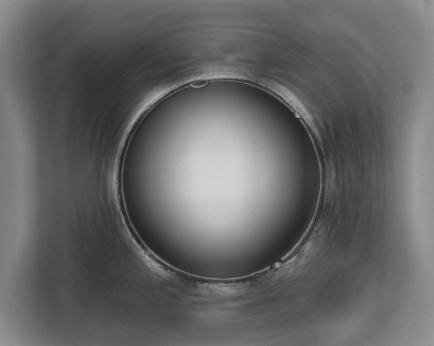 X0000112721197200908271400