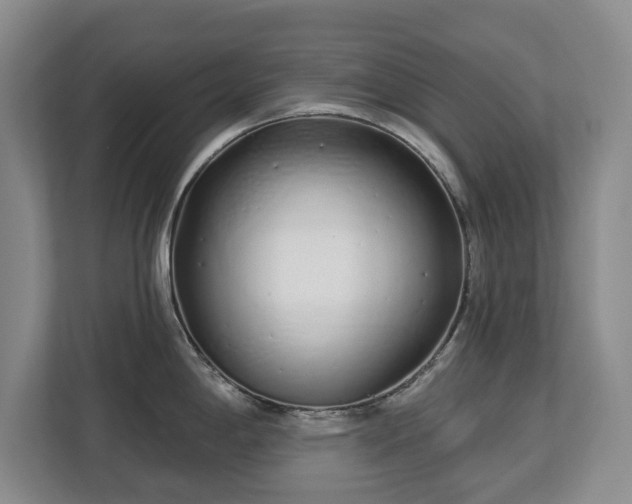 X0000112721198200908271400