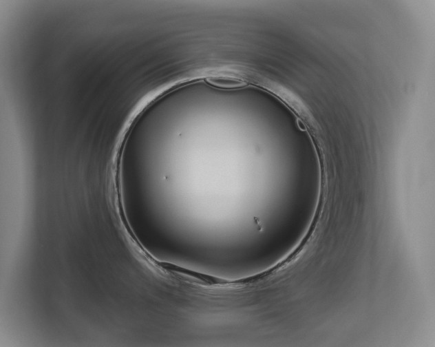 X0000112721200200908271400