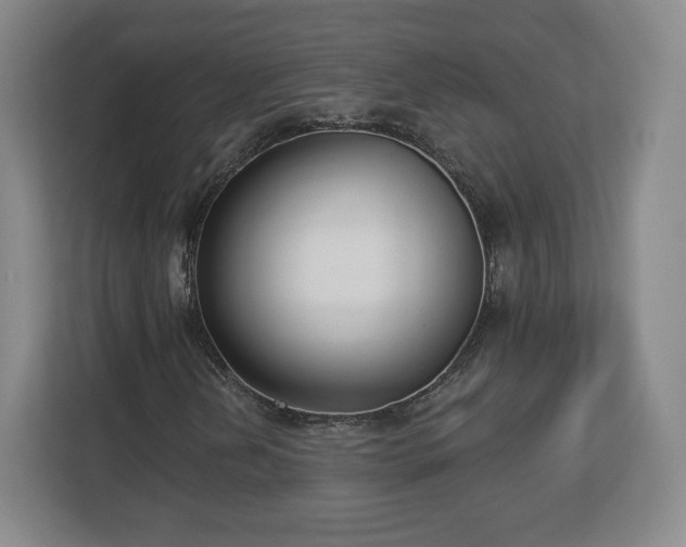 X0000112721202200908271359