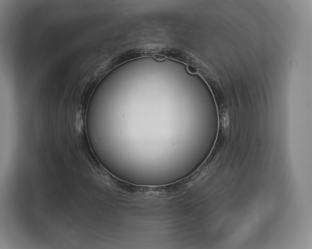 X0000112721204200908271359