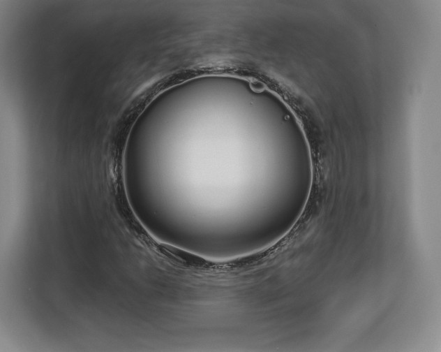 X0000112721206200908271400