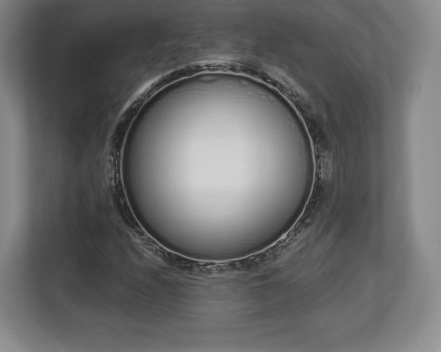 X0000112721208200908271400