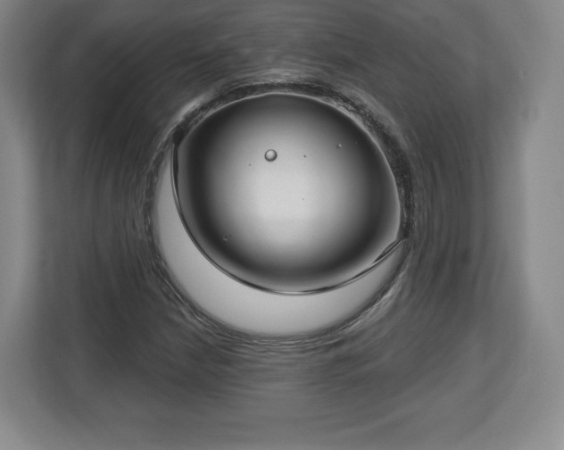 X0000112721210200908271400