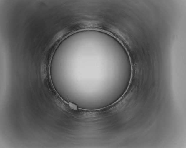 X0000112721211200908271400