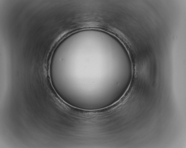 X0000112721212200908271400