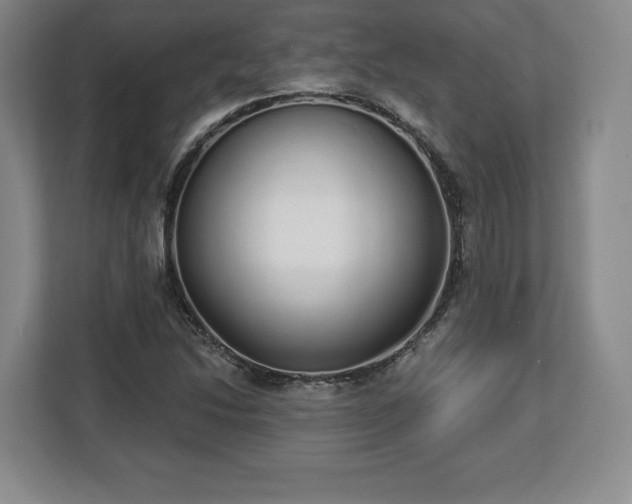 X0000112721214200908271400