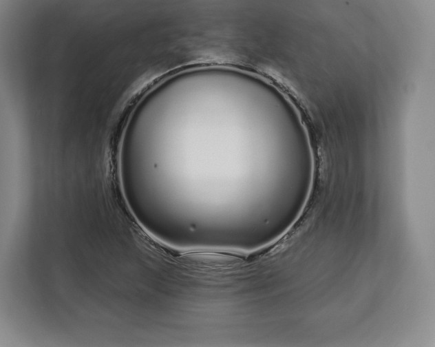 X0000112721215200908271400