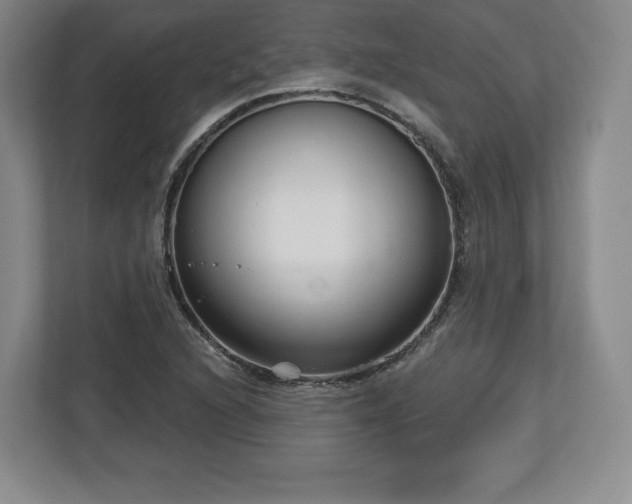 X0000112721216200908271400