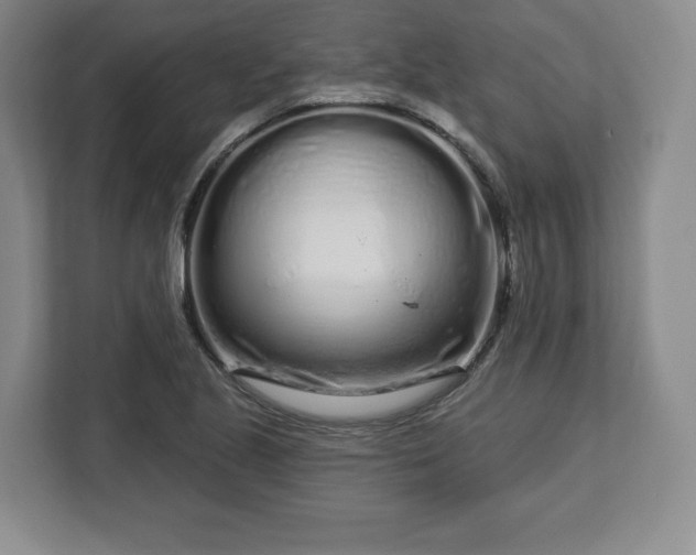 X0000112721221200908271400