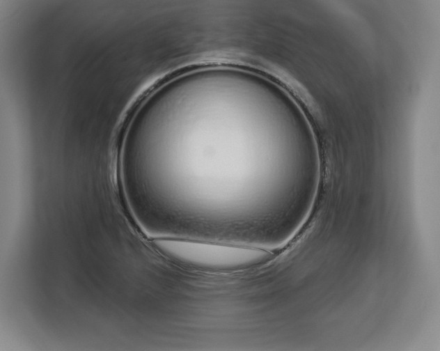 X0000112721224200908271400