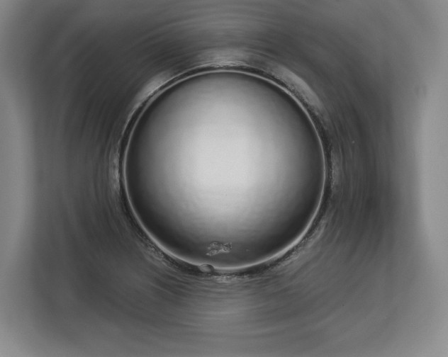 X0000112721226200908271400