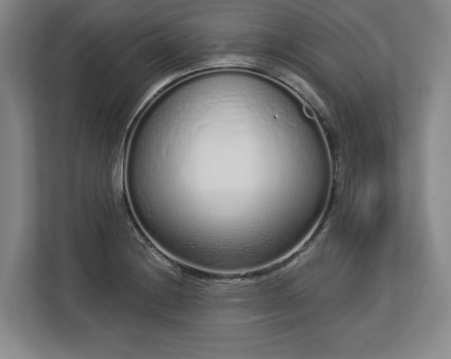 X0000112721228200908271400