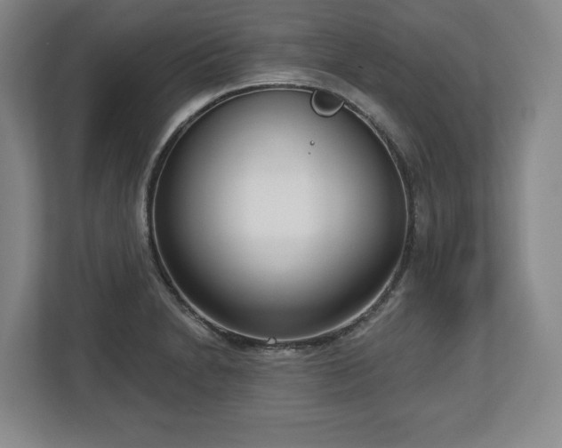 X0000112721230200908271400