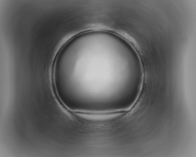 X0000112721231200908271400