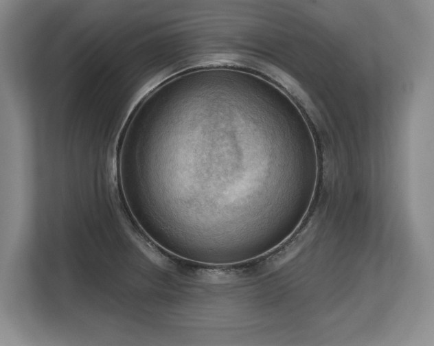 X0000112721234200908271400