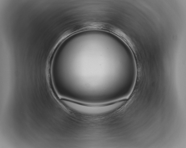 X0000112721235200908271400