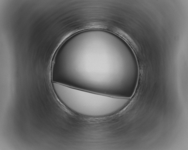 X0000112721236200908271400