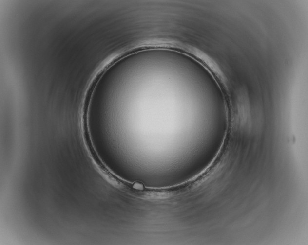 X0000112721237200908271400