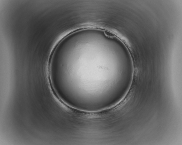 X0000112721239200908271400