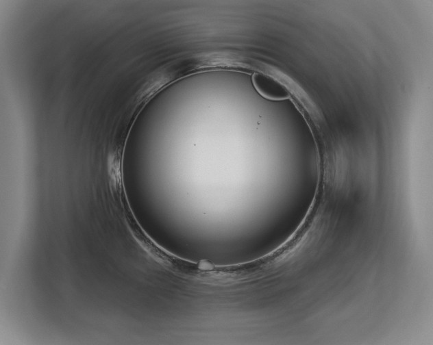 X0000112721241200908271400