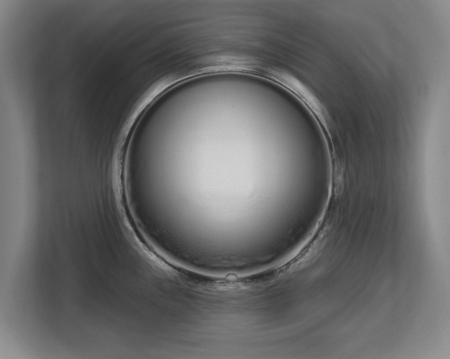 X0000112721243200908271400