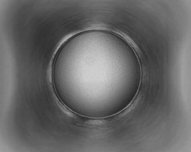 X0000112721246200908271400