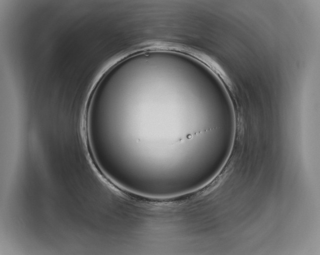 X0000112721247200908271400